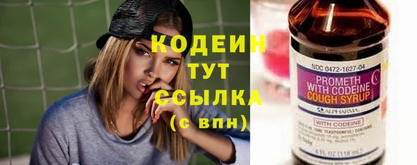 ешки Бородино