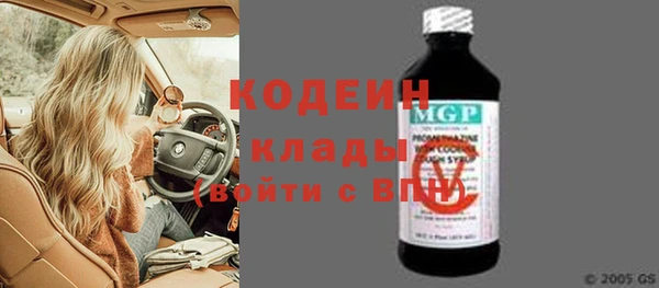 ешки Бородино