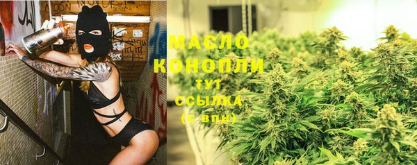 ешки Бородино