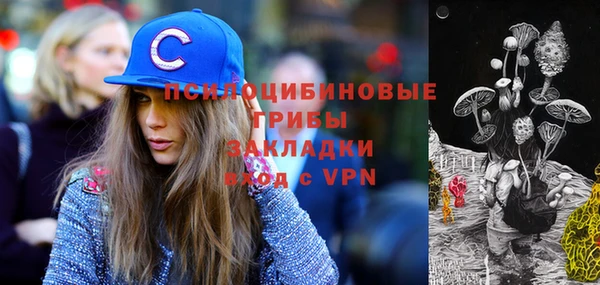 ешки Бородино
