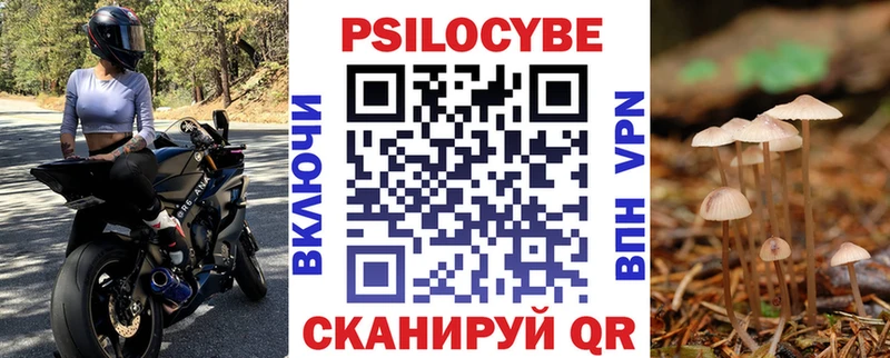 наркота  Вичуга  Галлюциногенные грибы MAGIC MUSHROOMS 